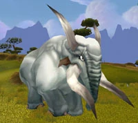 Image of Tusker