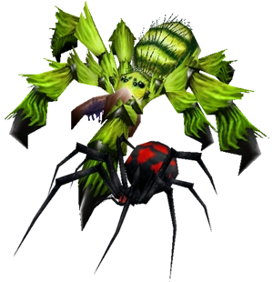 Spiders
