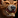 Image:IconSmall Bear.gif