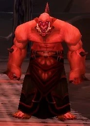Image of Shadowmoon Acolyte