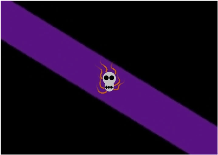 Their team flag