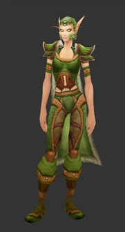 Blood Elf female wearing the Wild Leather set