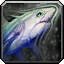 image:inv_misc_fish_35.png