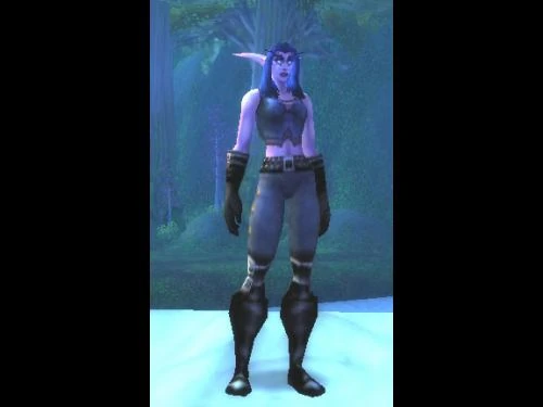 Image:Bandit cinch.jpg