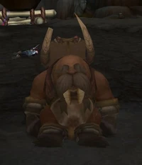 Image of Kaskala Craftsman