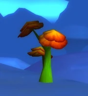 A Bogblossom