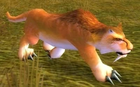 Image of Flatland Cougar