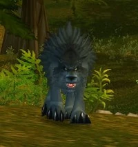 Image of Vilebranch Wolf Pup
