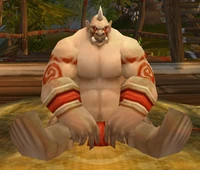 Image of Lard
