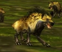 Image of Gordok Mastiff
