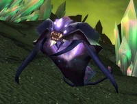 Image of Netherwing Ray