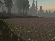 The Shining Strand