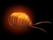 A Silithid Pill Bug