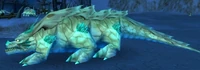Image of Saltstone Gazer
