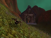 Night Web's Hollow