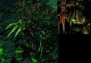 Poison Treant from Warcraft III