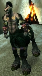 Image of Warug