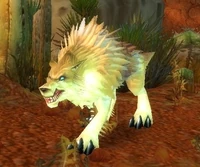 Image of Rabid Crag Coyote