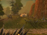The Bulwark