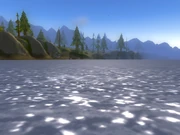 The Shore of the Loch