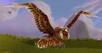 Image of Ravenous Windroc