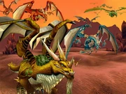 The Dragons march into battle against the Qiraji