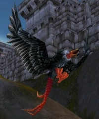 Image of Elder Mesa Buzzard
