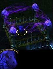 Cold Sheep from Warcraft III