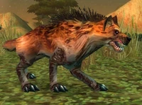 Image of Kolkar Packhound