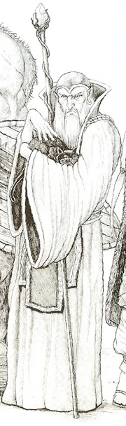 Half-elf Sorcerer