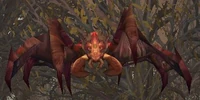 Image of Anub'ar Blightbeast