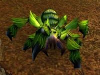 Image of Deepmoss Creeper