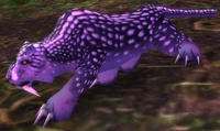Image of Mangy Nightsaber