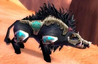 Image of Rotting Agam'ar