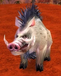 Image of Elder Mottled Boar