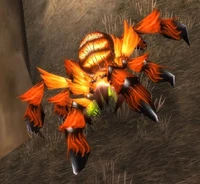 Image of Giant Darkfang Spider