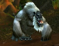 Image of Silverback Patriarch
