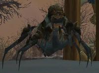 Image of Anub'ar Slayer
