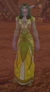 Merithra's night elven guise