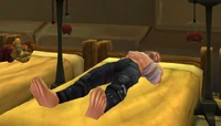 Image of Wounded Dalaran Protector