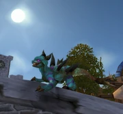 A Warp Chaser from Netherstorm sunbathing in Stormwind