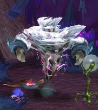 Image of Aeranas