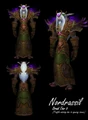 Male Night Elf