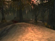 Witch Hill