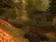 Sorrow Hill located in Western Plaguelands