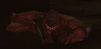 Image of Proto-Whelp