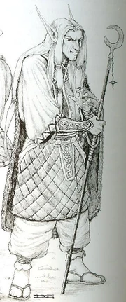 high elf wizard