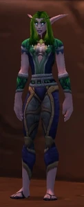 Image of Darnassus Commendation Officer
