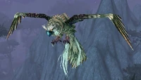 Image of Arthorn's Sparrowhawk