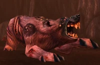 Image of Ursoc